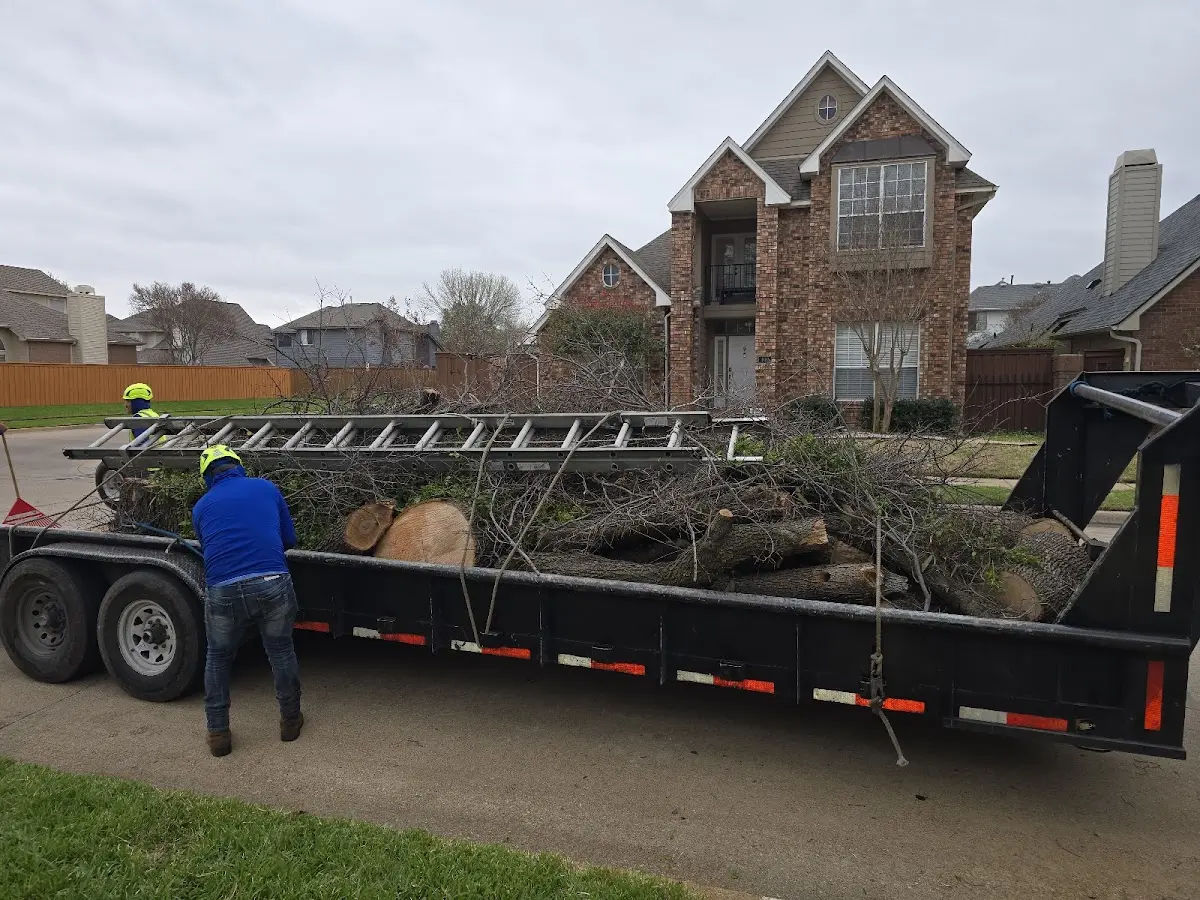 Expert Tree Removal with proper safety equipment in Tiffin